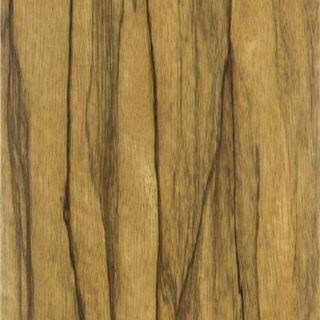 黑淋巴 Black Limba